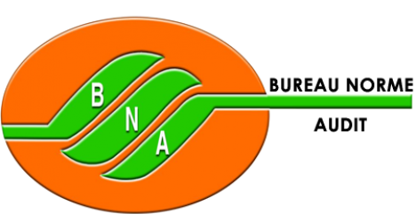 Bureau Norme Audit ( BNA )